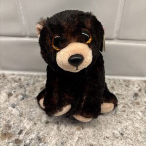 Beanie Baby Bear Beanie Boo Kodi 6 NWT Excellent Condition Plush Stuffed Animal